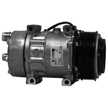 Picture of Compressor-Sanden OEM Version - 1000163318
